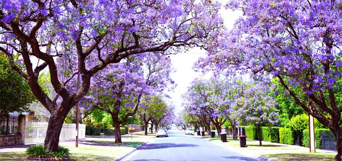 zonas para vivir en Australia

