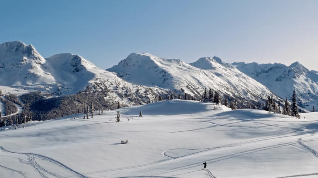 Las 7 mejores experiencias de formación para realizar en Whistler y disfrutar de la nieve en las montañas canadienses